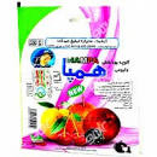 تصویر از آلوچه وکیوم استندی همپا