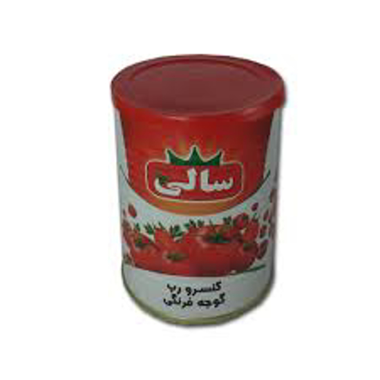 تصویر از رب گوجه 800گ قوطی سالی