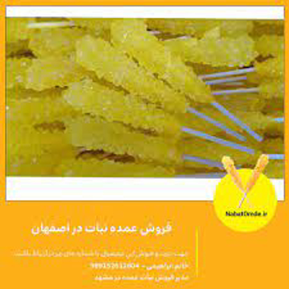 تصویر از نبات چوبی  اصفهان
