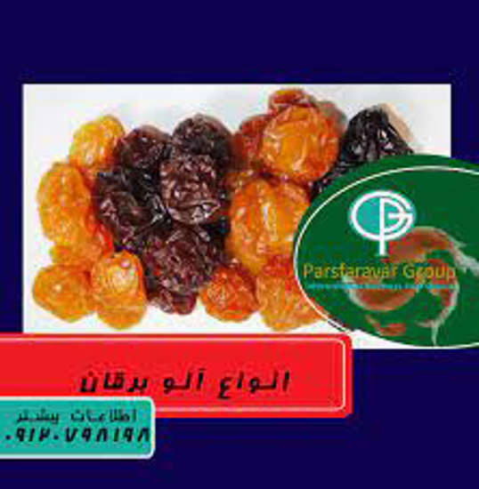 تصویر از آلو برغانی خورشتی