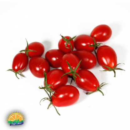 تصویر از گوجه گیلاسی 1